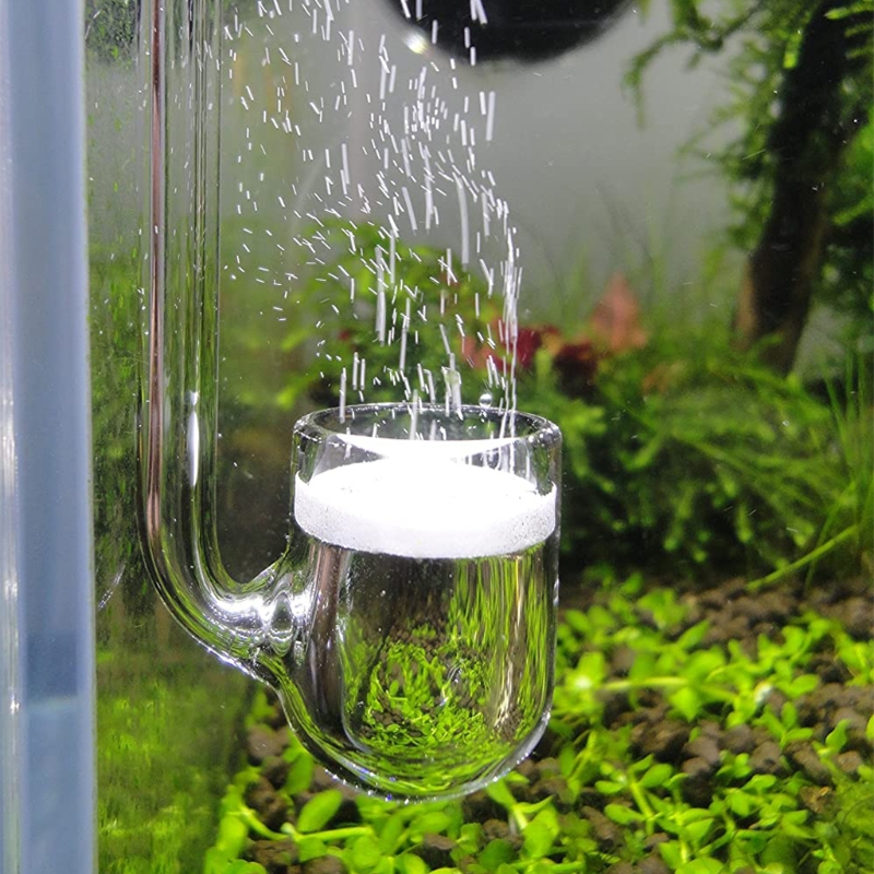 Co2 Diffuser Planted - D0AD Diffuseur CO2 en verre pour