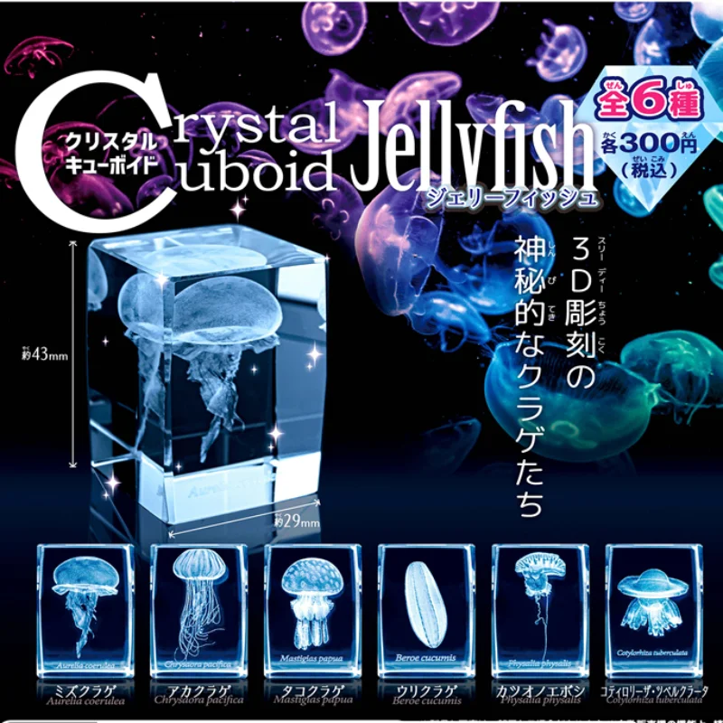 Aquarium Fish Discus - Gashapon Méduse 3D Clip Cuboïde Roches,