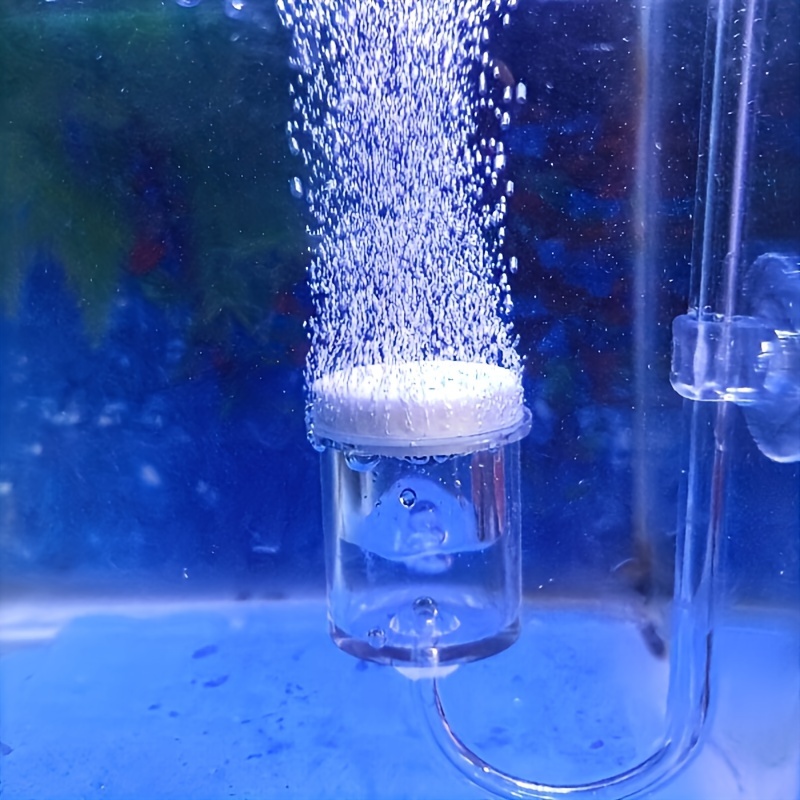 Co2 Diffuser Planted - Diffuseur d'atomiseur de CO2 en verre
