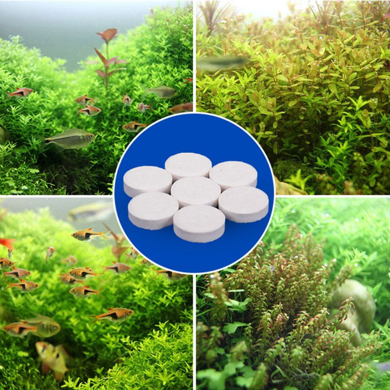 Comprimés de CO2 pour aquarium - Co2 Diffuser Planted avis et prix
