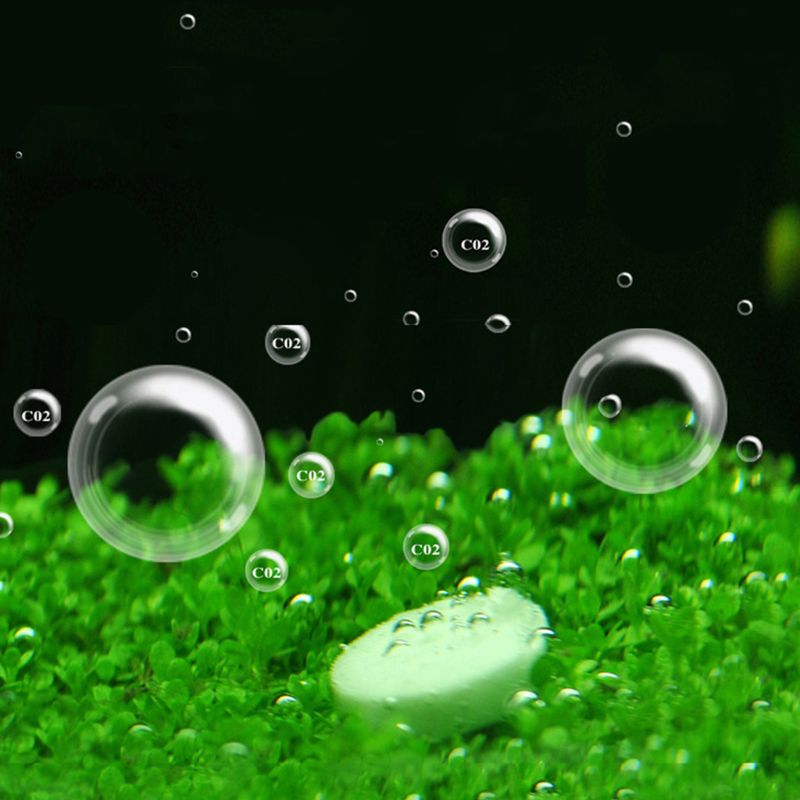 Comprimés de CO2 pour aquarium - Co2 Diffuser Planted avis et prix