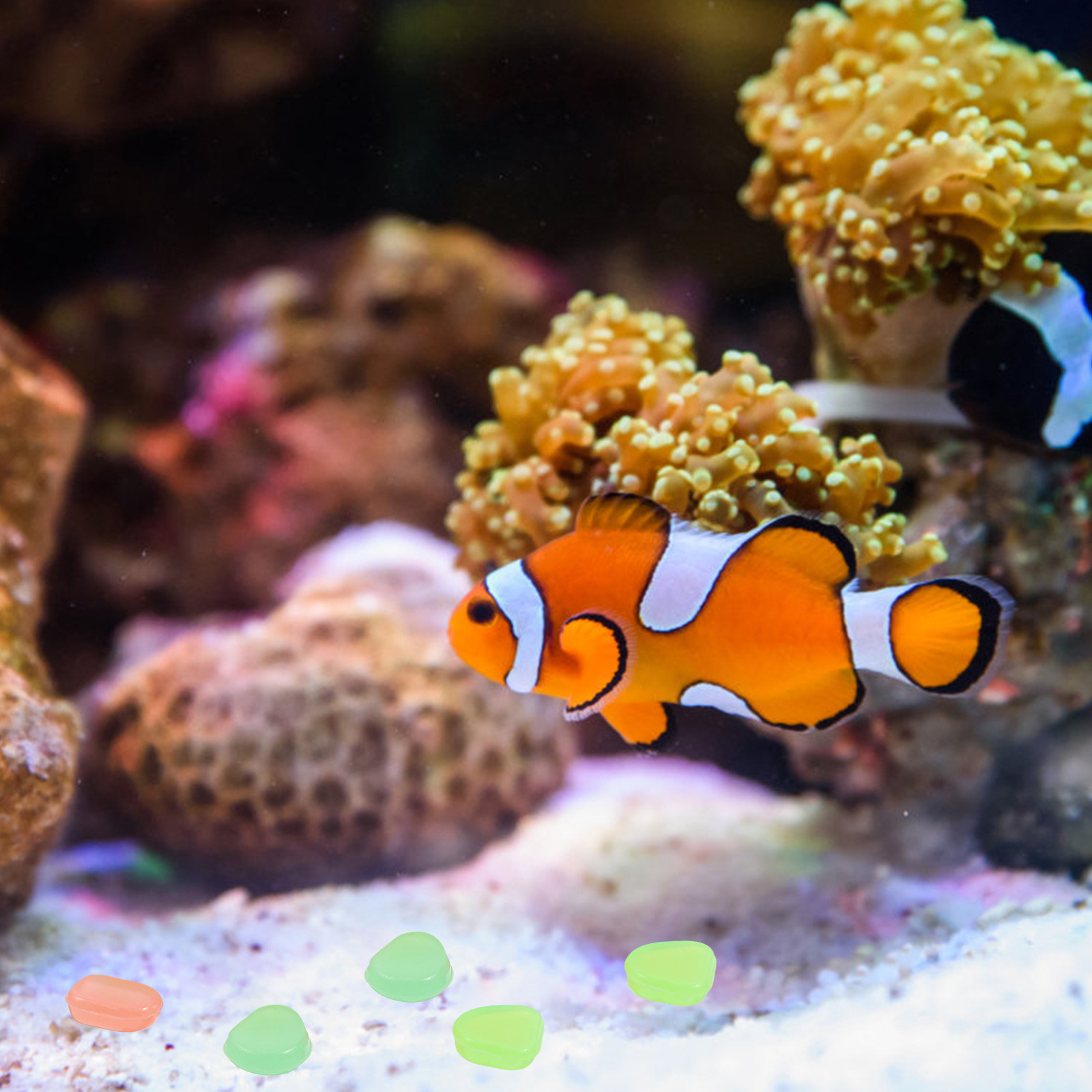 400 pièces de petites pierres  - Aquarium Fish Glow In The Dark avis et prix