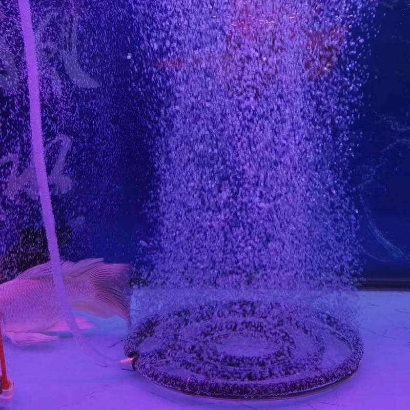 Disque d'aération nano en acie - Aquarium Fish Discus avis et prix