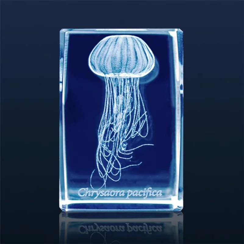 Gashapon Méduse 3D Clip Cuboïd - Aquarium Fish Discus avis et prix