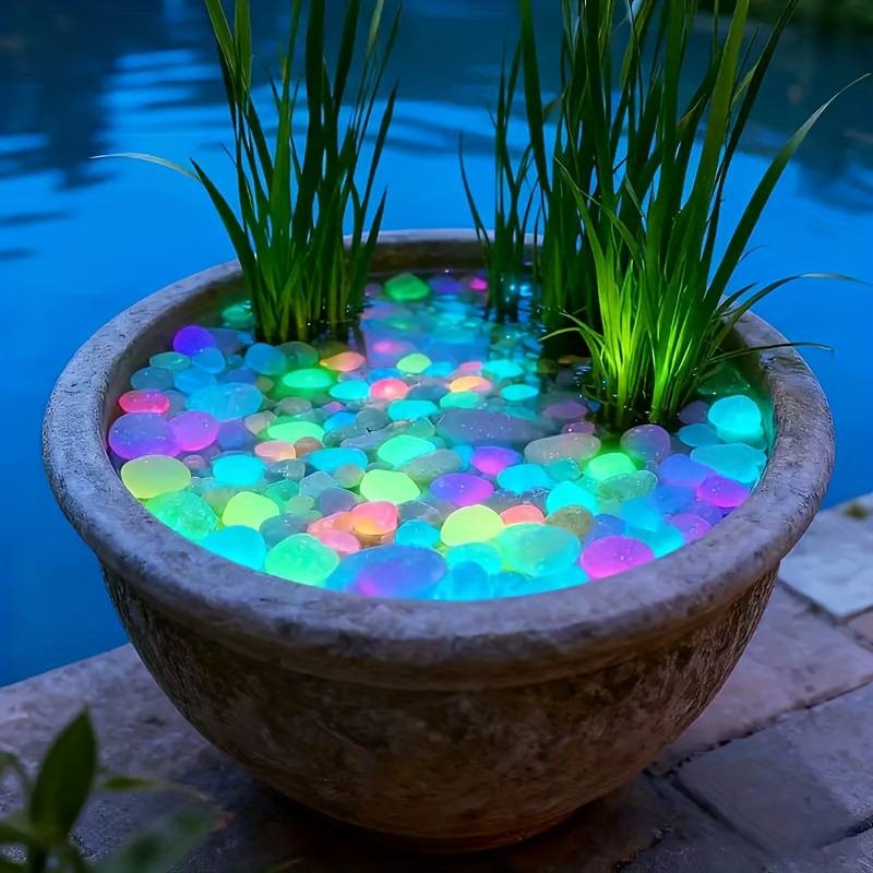 200 pierres lumineuses pour ja - Aquarium Fish Glow In The Dark avis et prix