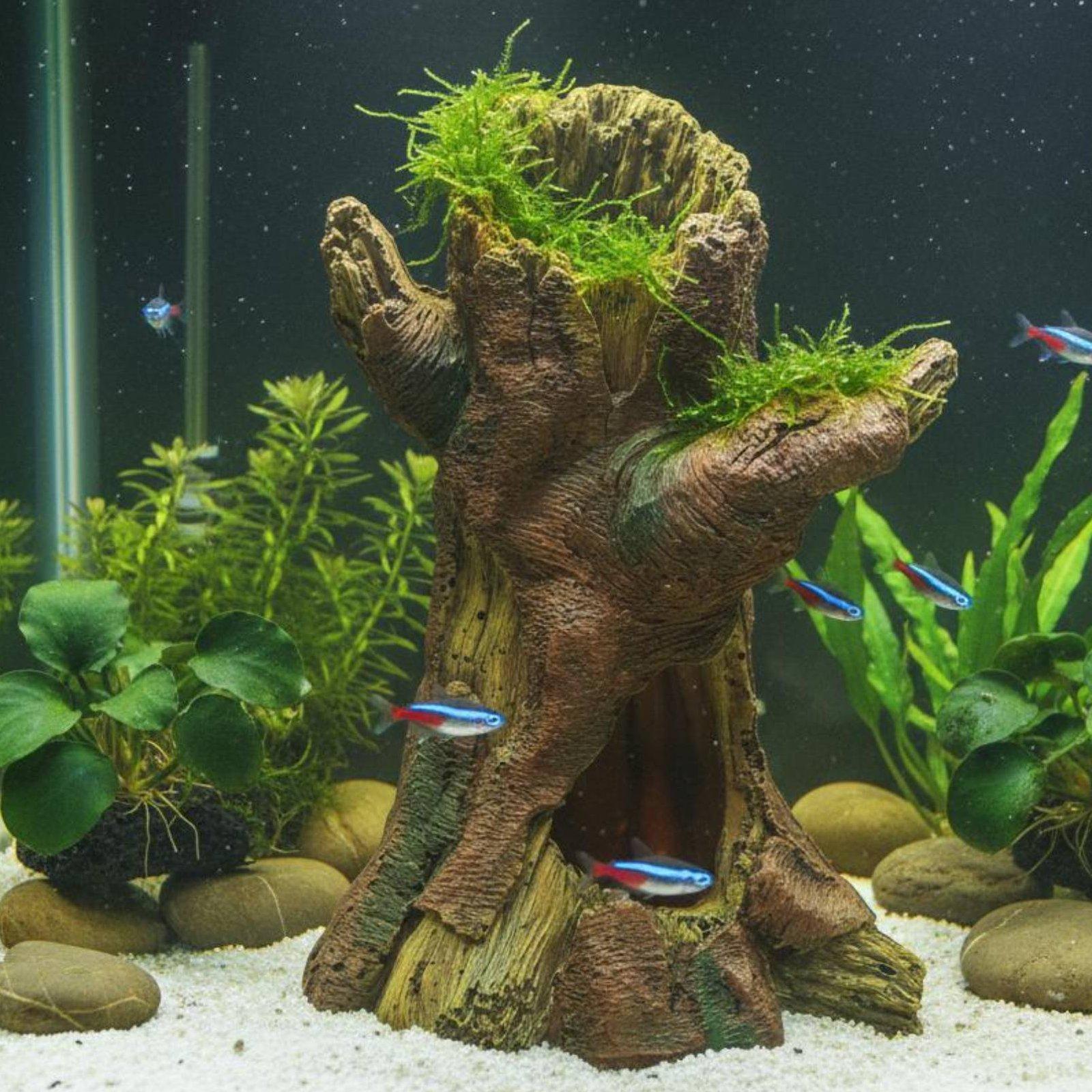 Décoration d'aquarium, décorat - Aquarium Fish In avis et prix