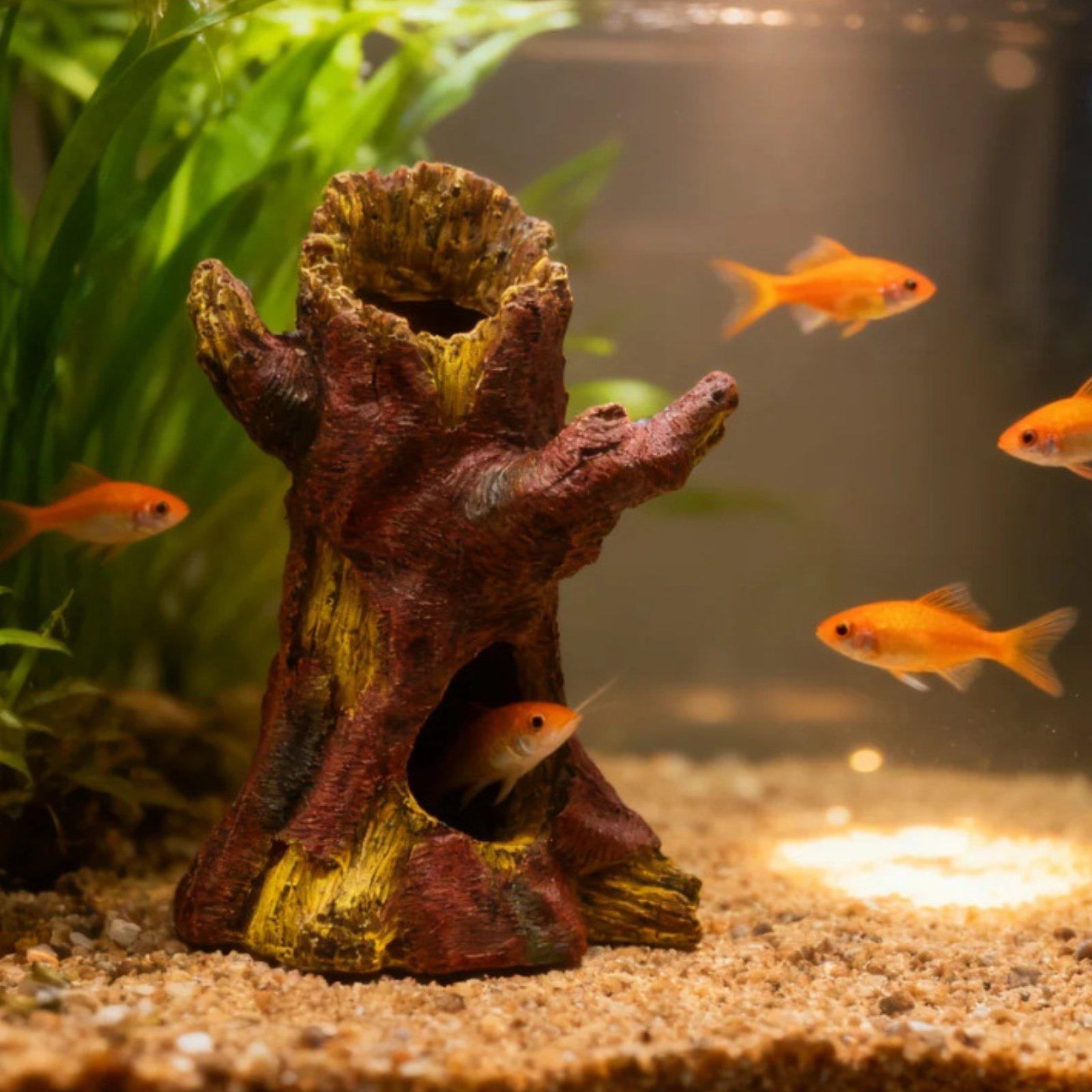 Décoration d'aquarium, décorat - Aquarium Fish In avis et prix