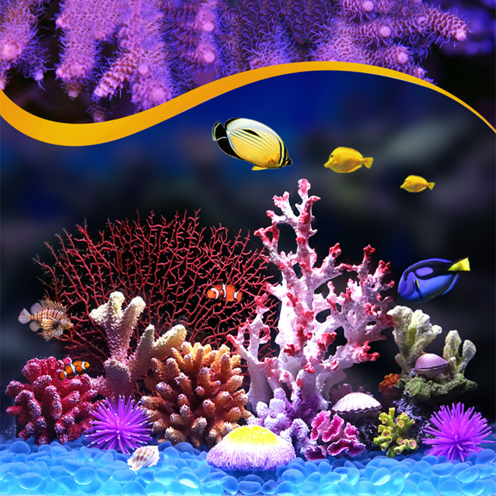 Ornements d'Aquarium de Récif  - Aquarium Fish Discus avis et prix