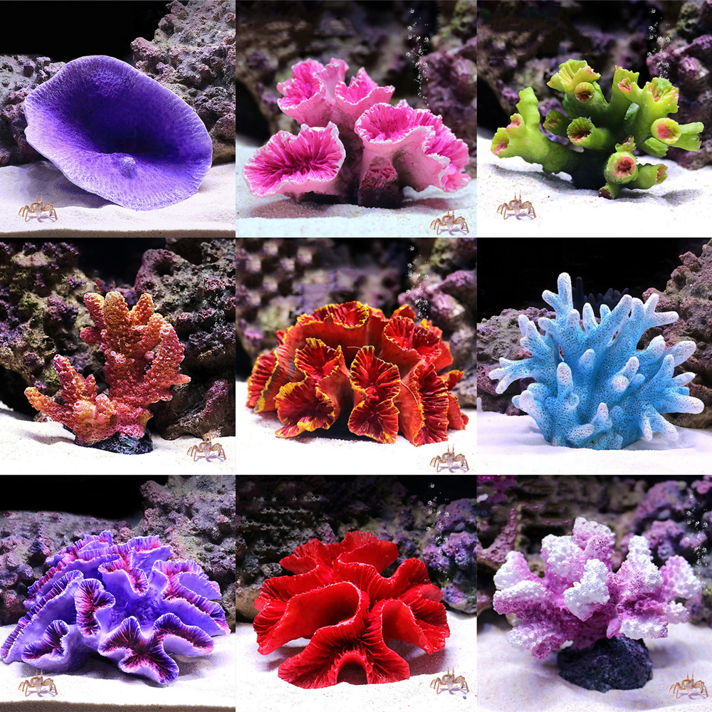 Ornements d'Aquarium de Récif  - Aquarium Fish Discus avis et prix