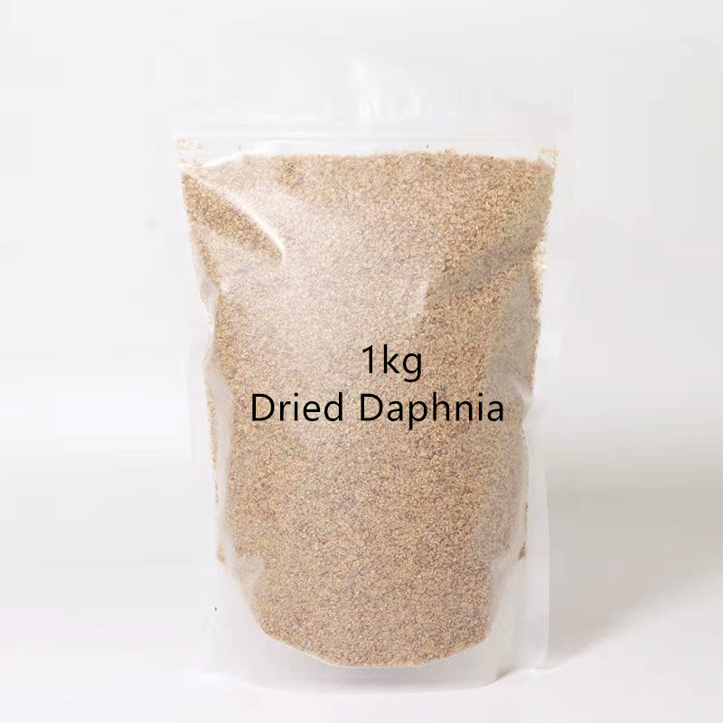 1kg sec Daphnia Guppy nourritu - Aquarium Fish Discus avis et prix