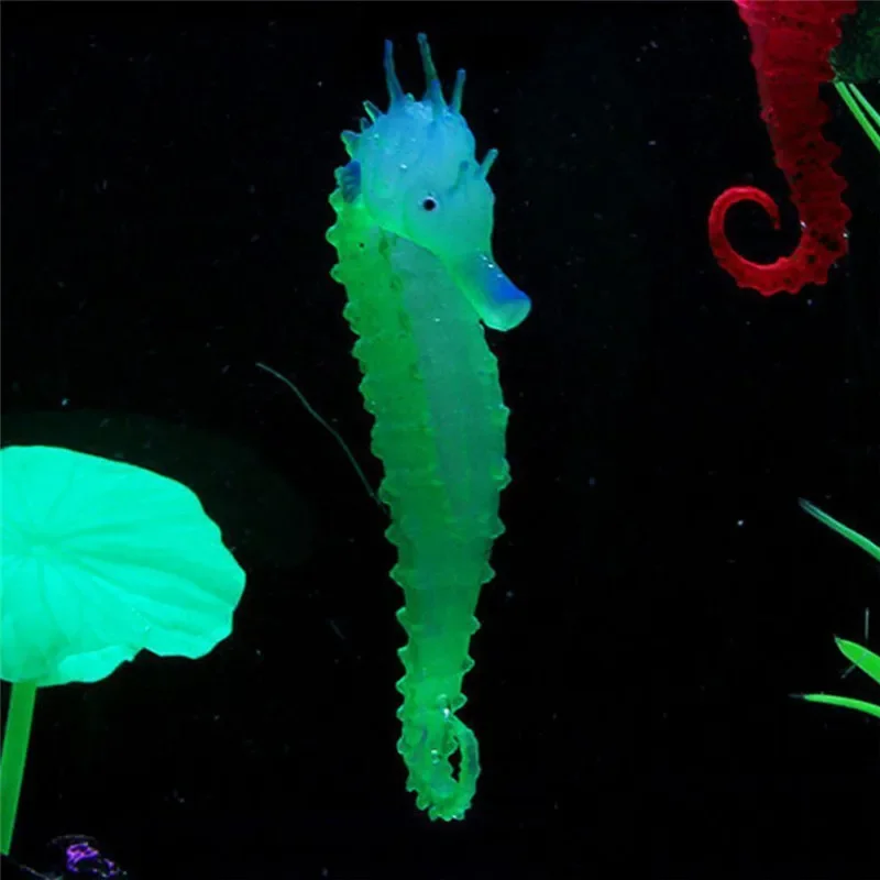 Aquarium artificiel cheval de  - Aquarium Fish Discus avis et prix