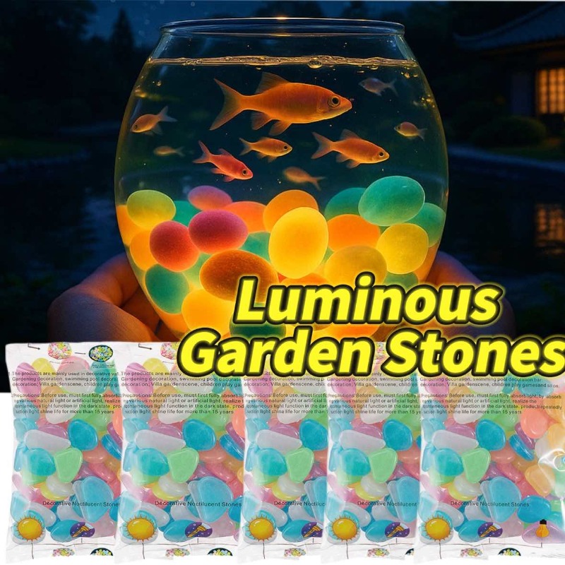 100-1000 pièces de galets lumi - Aquarium Fish Glow In The Dark avis et prix