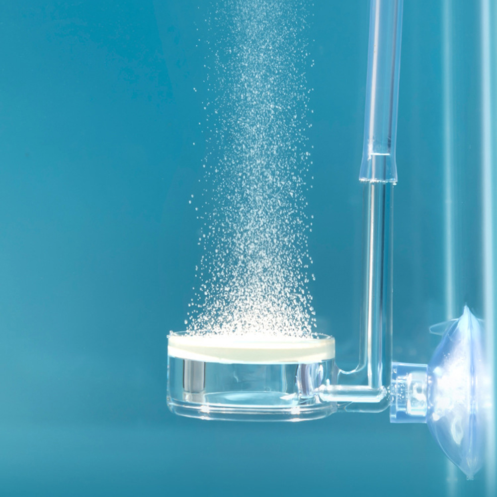 Diffuseur pour plantes d'aquar - Co2 Diffuser Planted avis et prix
