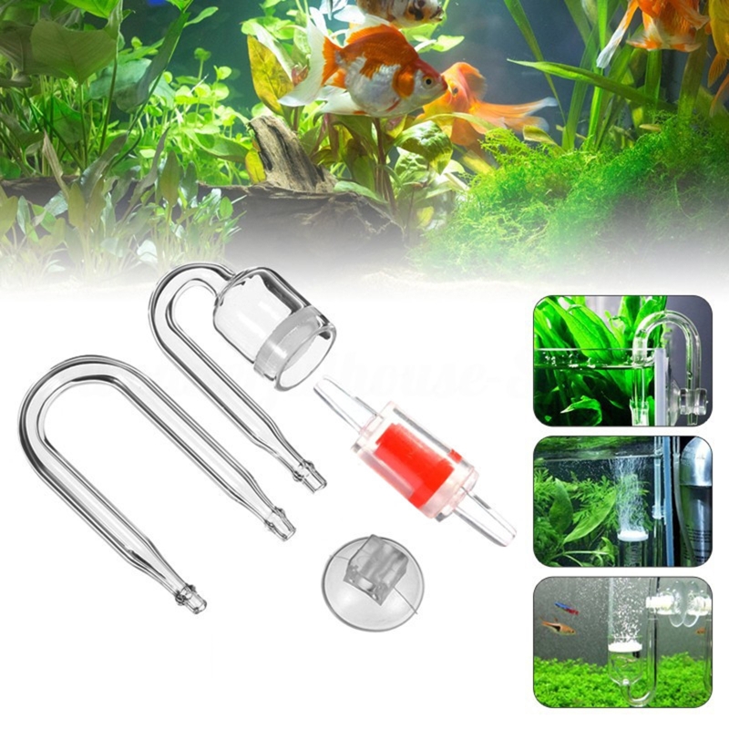Diffuseur de CO2 pour aquarium - Co2 Diffuser Planted avis et prix