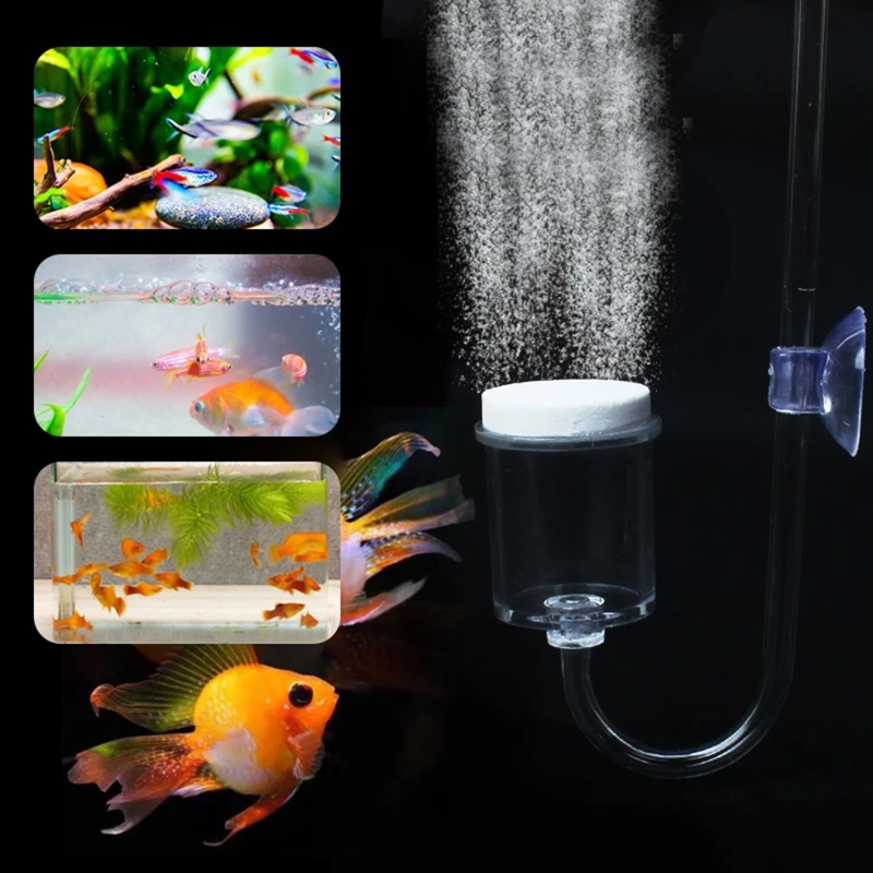 Diffuseur de CO2 pour aquarium - Co2 Diffuser Planted avis et prix